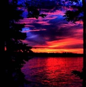 Meet your Posher, Andy